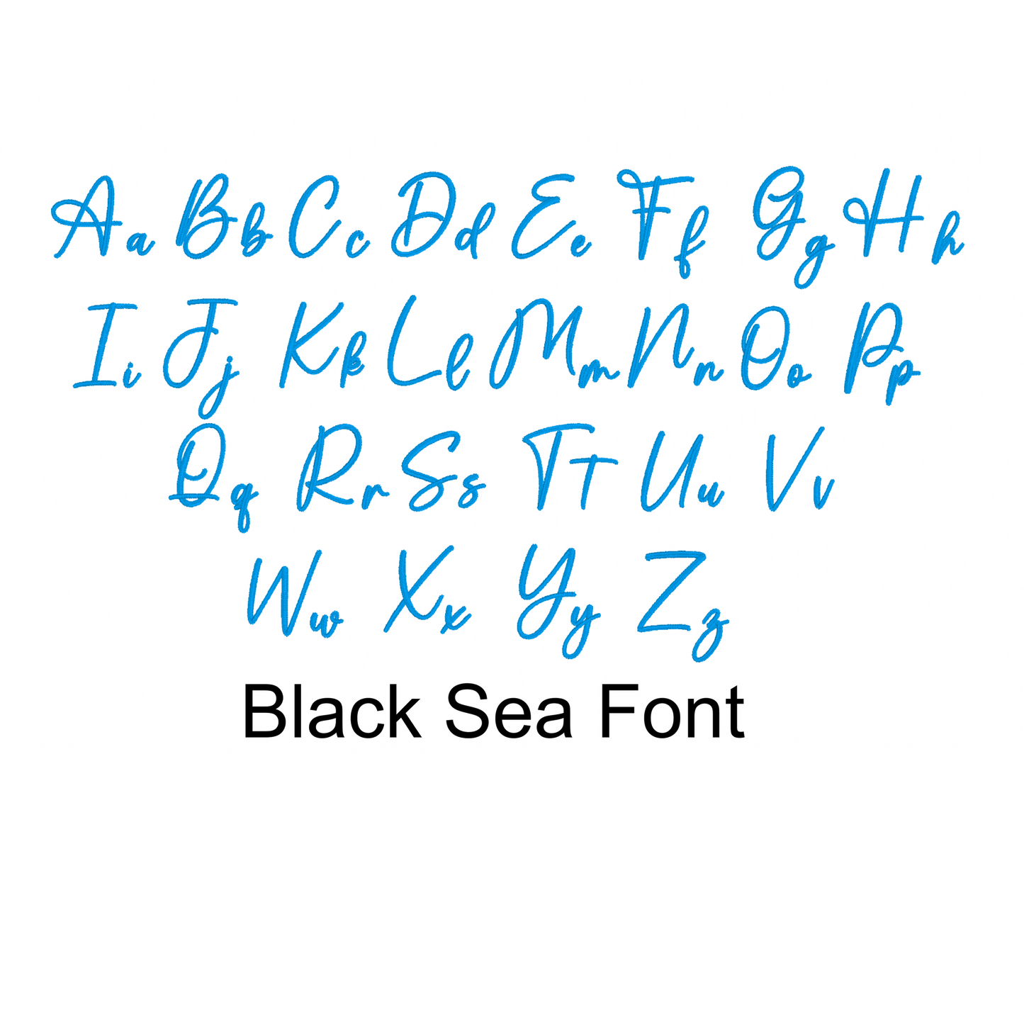 Embroidered Title Crewneck Sweat Shirt- Black Sea Script